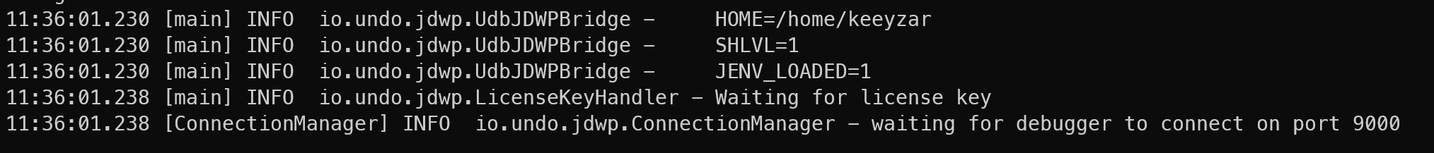 terminal output showing that the application is ready to connect, waiting for a debugger to connect
